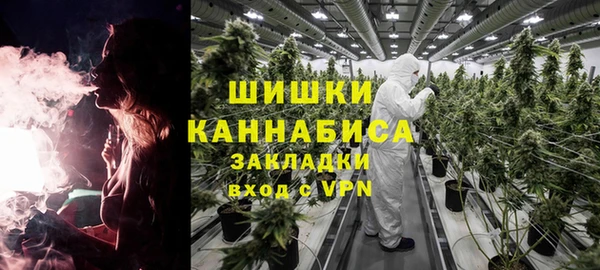 PSILOCYBIN Семёнов